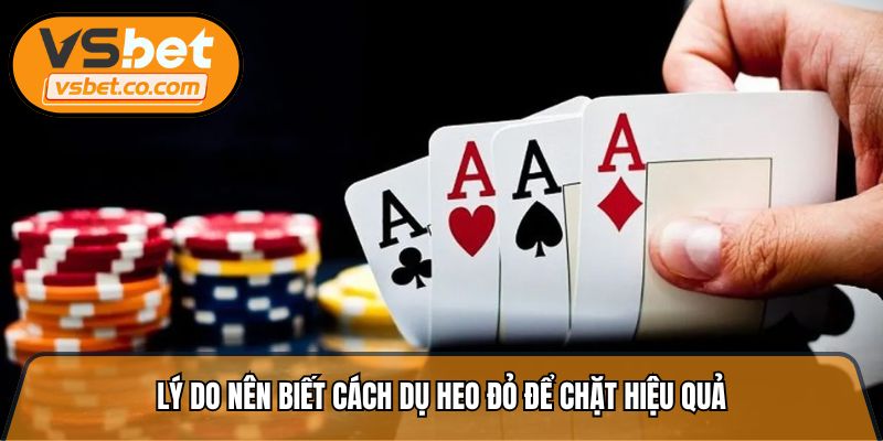 Lý do nên biết cách dụ heo đỏ để chặt hiệu quả