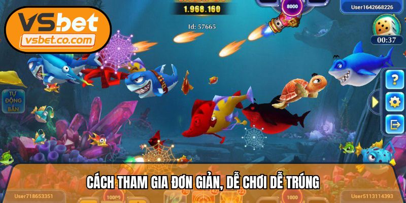 Hướng dẫn cách tham gia đơn giản, dễ chơi dễ trúng
